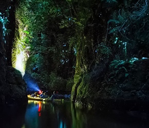 Glow Worm & Kayak Tour