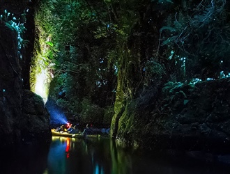 Glow Worm & Kayak Tour